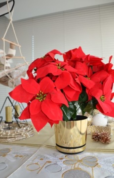 Рождественский горшок SHINY GOLD 26 см для больших цветов и маленькой елки