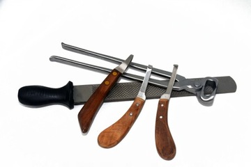 ПРОФЕССИОНАЛЬНЫЙ НАБОР ДЛЯ КОРРЕКЦИИ КОПЫТ С 3 НОЖАМИ