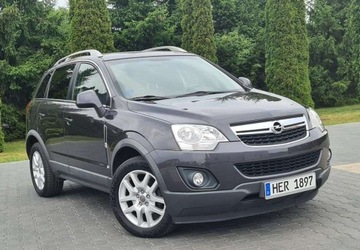 Opel Antara SUV Facelifting 2.2 CDTI ECOTEC 163KM 2013 Opel Antara Opel Antara 2.2 CDTI Active 2x4, zdjęcie 7