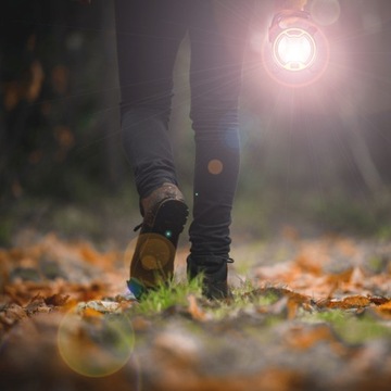 МОЩНАЯ COB СВЕТОДИОДНАЯ ЛАМПА ДЛЯ МАСТЕРСКИХ С РУЧКОЙ