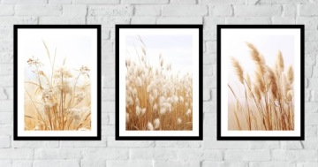 30x40 Набор фотографий в рамке PAMPAS PAMPAS Луговая трава Природа BOHO