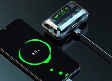 БЕСПРОВОДНЫЕ НАУШНИКИ-ВКЛАДЫШИ БЕСПРОВОДНОЙ BLUETOOTH ЧЕХОЛ BT 5.0 + POWERBANK