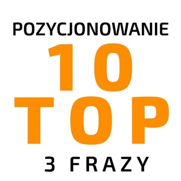 TOP 10 - POZYCJONOWANIE, 3 FRAZY PRZEZ ROK