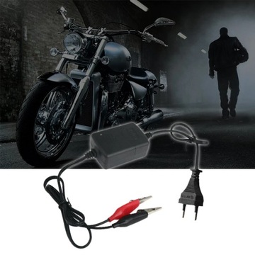 ЗАРЯДНОЕ УСТРОЙСТВО-ВЫПРЯМИТЕЛЬ АККУМУЛЯТОРА GEL AGM 12В 1000мА