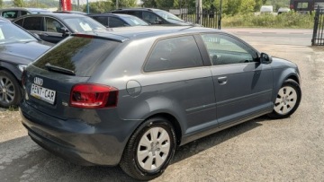 Audi A3 8P Hatchback 3d 1.6 TDI 105KM 2010 Audi A3 3-drzwiowe 1.6TDi OPŁACONY Bezwypadkowy, zdjęcie 12