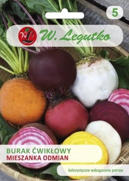 Burak Ćwikłowy Mieszanka Odmian 10 g Legutko