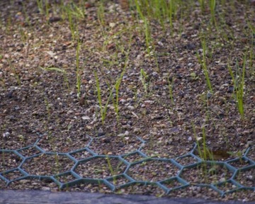 ГЕОКРАТА Газонная решетка Дорога Парковка x 10