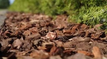 КОРА СОСНОВАЯ Garden сортированная УНИВЕРСАЛЬНАЯ 42 шт.