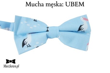 Брекеты с брюками с мужским галстуком на выбор