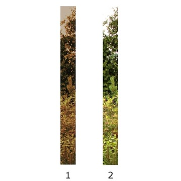 ВНЕШНИЕ ДВЕРИ ИЗ ПОЛЬСКОЙ ИНОКС SSIG ЧЕРНЫЕ 55MM 90
