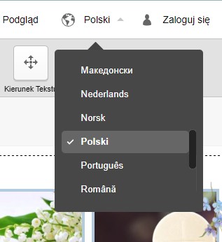 Фотоальбом для бабушки и дедушки 30х20 А4 Уровень 20 страниц HARD PAGES PROMO