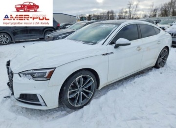 Audi A5 F5 2019 Audi S5 Coupe Premium Plus 2019 3.0 Benzyna 349KM
