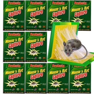 10x MYSZOŁAPKA LEP ŁAPKA PUŁAPKA NA MYSZY ŁAPKA NA KLEJU DUŻA