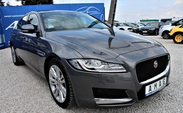 Jaguar XF II Sedan 2.0 i4D 180KM 2015 Jaguar XF 2.0 Diesel 180KM, zdjęcie 3