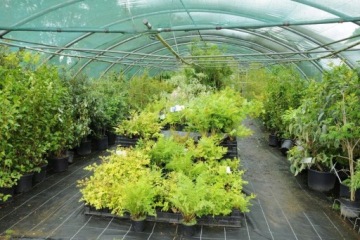 Коврик против сорняков STRONG AGROTIC GARDEN 1,6х100м, толщина 110г, черный