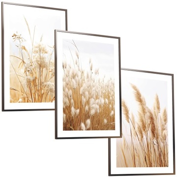 30x40 ZESTAW OBRAZY W RAMIE PLAKATY RAMKA PAMPAS ŁĄKA TRAWA NATURA BOHO