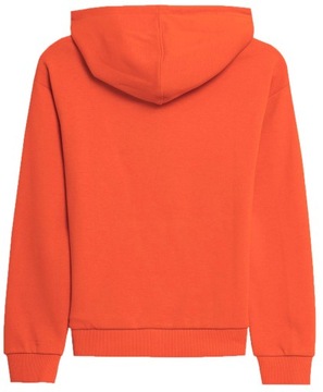 СВИТШОТ С КАПЮШОНОМ 4F ДЛЯ МАЛЬЧИКОВ AW23M634