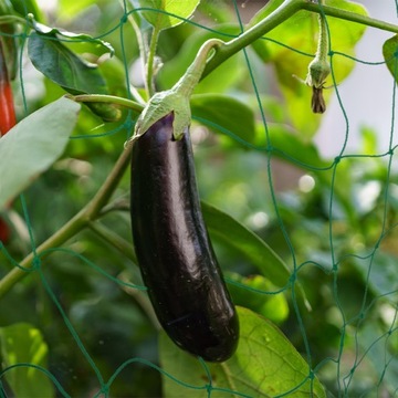 Опора с сеткой для томатов 16мм х 180 х 320см - Каркас садовый для винограда