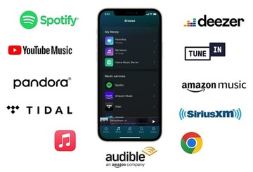 WIIM Pro Streamer Roon Ready Tidal Connect