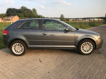 Audi A3 8P Hatchback 3d 1.6 102KM 2006 Audi A3 1.6 MPI 102 KM, zdjęcie 7