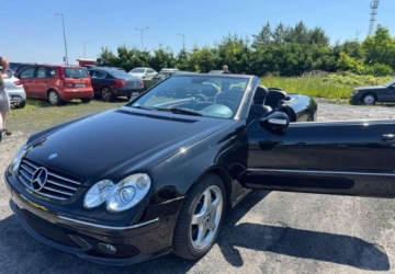 Mercedes CLK W209 Cabrio A209 5.0 V8 (500) 306KM 2003 Mercedes-Benz CLK Mercedes-Benz CLK 500 Avantgarde 5.0 Benzyna 306KM, zdjęcie 2