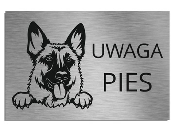 Tabliczka Uwaga Pies Owczarek 20x30cm srebrna