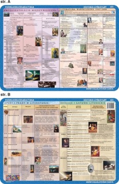 ЭДУ ПАД. 009 - ОРФОГРАФИЯ: CH, H, RZ, Ż, Ó..