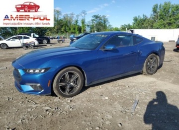 Ford Mustang VI 2024 Ford Mustang 2024 2.3l 2.3 Benzyna 315KM