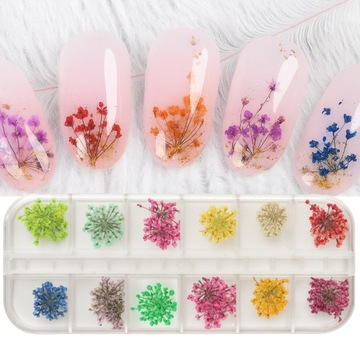 Suszone Kwiaty Do Paznokci Ozdoby Paznokcie Hybrydy Sztuczne Kwiatki
