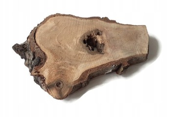 Деревянные ломтики ореха, пеньки 6-14 см.