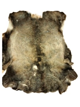 ПОВРЕЖДЕННАЯ КОЖА ОЛЕНЯ