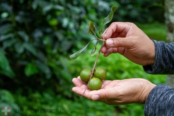 МАСЛО МАКАДАМИИ НАТУРАЛЬНОЕ МАСЛО МАКАДАМИИ 1л