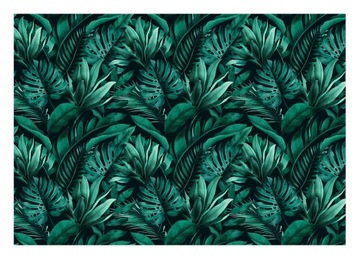 Fototapeta TROPIKALNE LIŚCIE Natura Salon 368x254