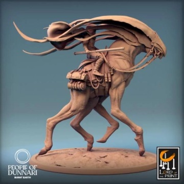 Типография Windglide Marna