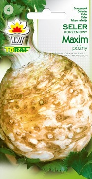 Seler korzeniowy MAXIM późny Toraf 1g