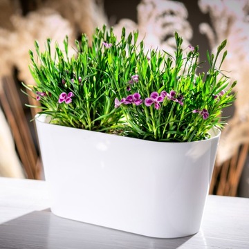 ЦВЕТОЧНЫЙ ГОРШОК ЦВЕТОЧНЫЙ ГОРШОК С КРЫШКОЙ ЦВЕТА 27СМ