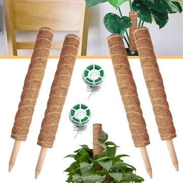 4 SZT PALUSZKI PALMY KOKOSOWEJ 40 CM RAMA WSPINACZKOWA MONSTERA KIJ MCHU