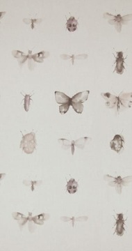 tapeta w motyle owady insekty beżowe