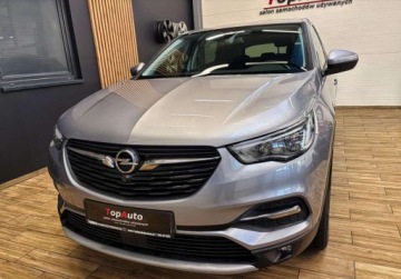 Opel 2018 Opel Grandland X 1.6 CDTI 120 KM manual BEZWYPADKOWY gwarancja kamera, zdjęcie 12