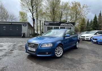 Audi A3 Lift Grzane Fotele Klima Tempomat Star...