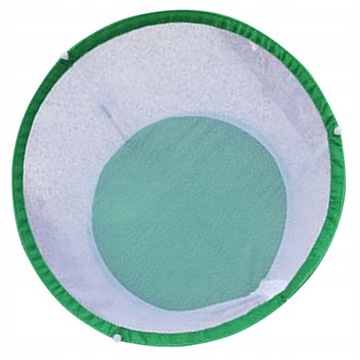 Разведение бабочек в клетках для насекомых