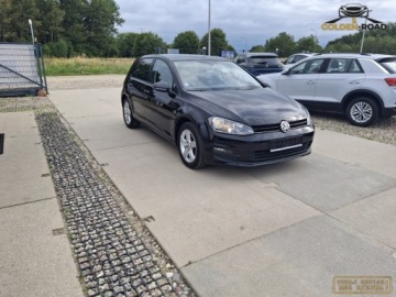 Volkswagen Golf VII Hatchback 3d 1.4 TSI 140KM 2013 Volkswagen Golf 1,4 TSI 140 KM DSG alu czujniki parkowania klima grz. fote, zdjęcie 3