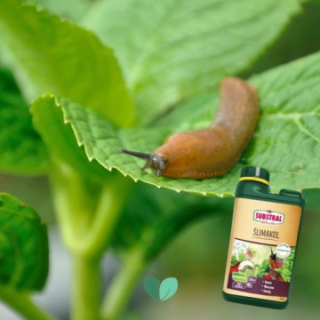 Средство от улиток Слимакол Substral Naturen 5907487102843
