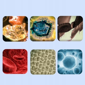 2 sztuki przenośnego podręcznego dla dzieci