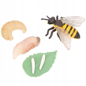 Игрушечная модель насекомого, цикл роста медоносной пчелы