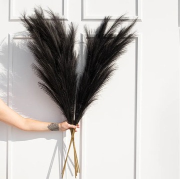 ДЕКОРАТИВНАЯ ПАМПАСНАЯ ТРАВА pampas pampas 70см