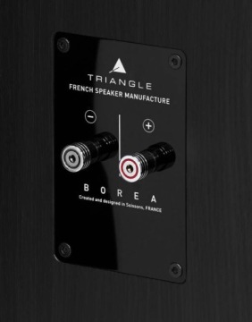 Книжные полочные колонки Triangle Borea BR02 (черный)