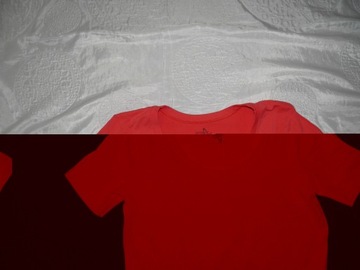 СПОРТИВНАЯ ФУТБОЛКА SPORT TECH S M