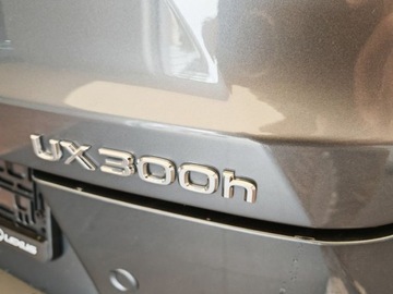 Lexus UX Crossover Facelifting 2.0 300h 199KM 2025 Od ręki - 300h F Sport 2.0 Hybrid Dynamic Force 199KM | Podgrzewane fotele!, zdjęcie 6
