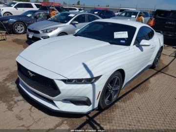 Ford Mustang VI 2024 Ford Mustang Ecoboost Premium Fastback 2024 2.3l 2.3 Benzyna 315KM, zdjęcie 1